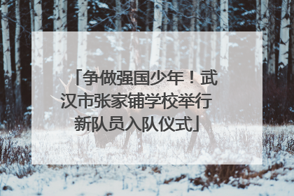 争做强国少年！武汉市张家铺学校举行新队员入队仪式