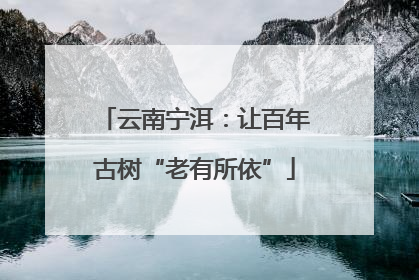 云南宁洱：让百年古树“老有所依”