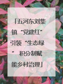 五河东刘集镇“党建红”引领“生态绿” 积分制赋能乡村治理