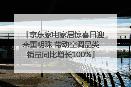 京东家电家居惊喜日迎来董明珠 带动空调品类销量同比增长100%