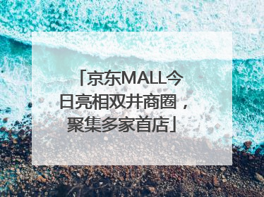 京东MALL今日亮相双井商圈，聚集多家首店