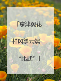 京津冀花样风筝云端“比武”