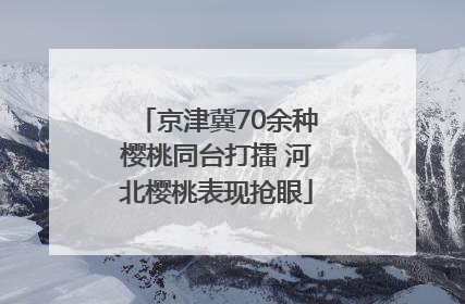 京津冀70余种樱桃同台打擂 河北樱桃表现抢眼