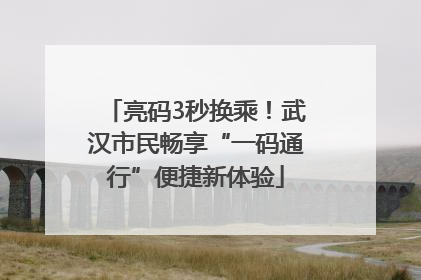 亮码3秒换乘！武汉市民畅享“一码通行”便捷新体验