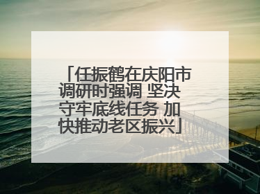 任振鹤在庆阳市调研时强调 坚决守牢底线任务 加快推动老区振兴