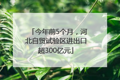 今年前5个月，河北自贸试验区进出口超300亿元