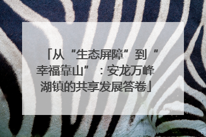 从“生态屏障”到“幸福靠山”：安龙万峰湖镇的共享发展答卷