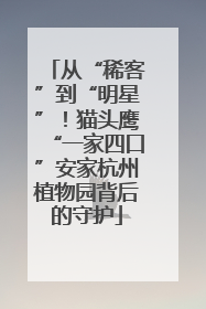 从“稀客”到“明星”！猫头鹰“一家四口”安家杭州植物园背后的守护