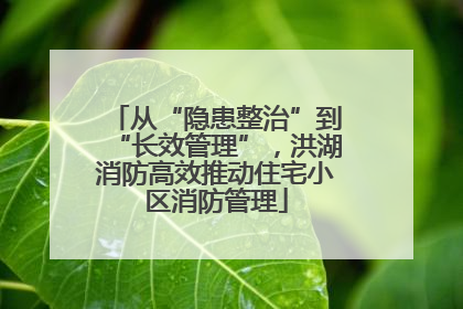 从“隐患整治”到“长效管理”，洪湖消防高效推动住宅小区消防管理