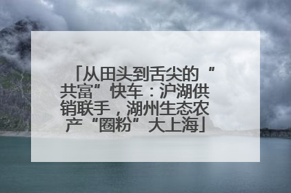 从田头到舌尖的“共富”快车：沪湖供销联手，湖州生态农产“圈粉”大上海