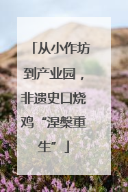 从小作坊到产业园，非遗史口烧鸡“涅槃重生”