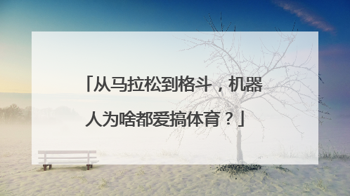 从马拉松到格斗，机器人为啥都爱搞体育？