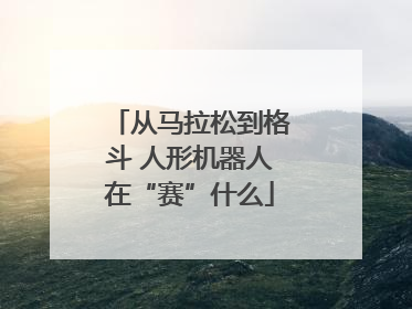 从马拉松到格斗 人形机器人在“赛”什么