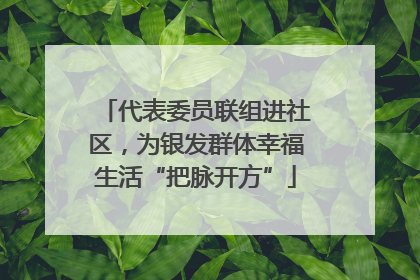 代表委员联组进社区，为银发群体幸福生活“把脉开方”