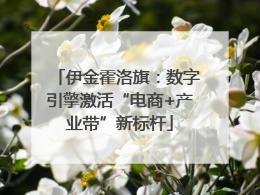 伊金霍洛旗：数字引擎激活“电商+产业带”新标杆