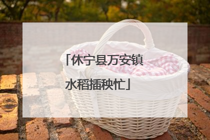 休宁县万安镇水稻插秧忙