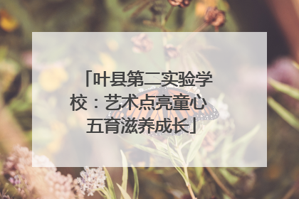 叶县第二实验学校：艺术点亮童心 五育滋养成长