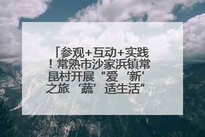 参观+互动+实践！常熟市沙家浜镇常昆村开展“爱‘新’之旅‘蔬’适生活”参观学习活动