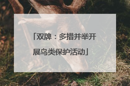 双牌：多措并举开展鸟类保护活动