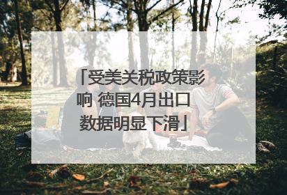 受美关税政策影响 德国4月出口数据明显下滑