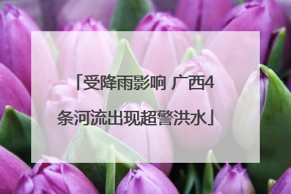 受降雨影响 广西4条河流出现超警洪水