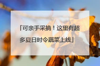 可亲手采摘！这里有超多夏日时令蔬菜上线