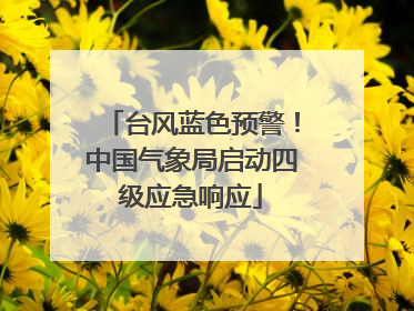 台风蓝色预警！中国气象局启动四级应急响应