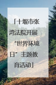 十堰市张湾法院开展“世界环境日”主题教育活动