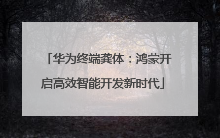华为终端龚体：鸿蒙开启高效智能开发新时代