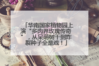 华南国家植物园上演“多肉界玫瑰传奇”，从呆萌树干到炸裂种子全是戏！