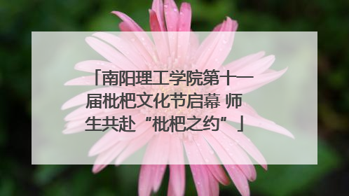 南阳理工学院第十一届枇杷文化节启幕 师生共赴“枇杷之约”