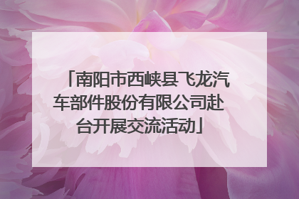 南阳市西峡县飞龙汽车部件股份有限公司赴台开展交流活动