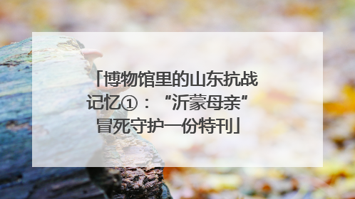 博物馆里的山东抗战记忆①：“沂蒙母亲”冒死守护一份特刊