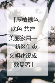 厚植绿色底色 共建美丽家园——新区生态文明建设成效显著
