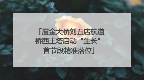 厦金大桥刘五店航道桥西主塔启动“生长” 首节段精准落位