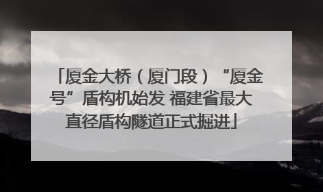 厦金大桥（厦门段）“厦金号”盾构机始发 福建省最大直径盾构隧道正式掘进