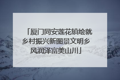 厦门同安莲花镇绘就乡村振兴新图景文明乡风润泽富美山川