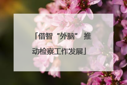 借智“外脑” 推动检察工作发展