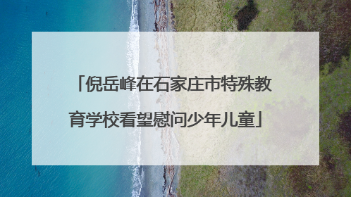 倪岳峰在石家庄市特殊教育学校看望慰问少年儿童