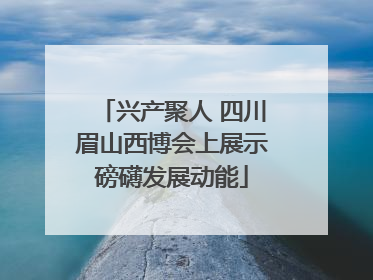 兴产聚人 四川眉山西博会上展示磅礴发展动能