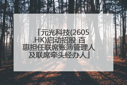 元光科技(2605.HK)启动招股 百惠担任联席账簿管理人及联席牵头经办人