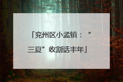 兖州区小孟镇：“三夏”收割话丰年