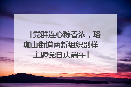 党群连心粽香浓，珞珈山街道两新组织别样主题党日庆端午