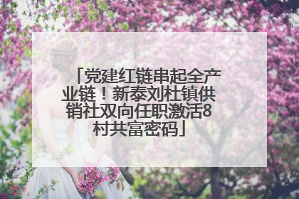 党建红链串起全产业链！新泰刘杜镇供销社双向任职激活8村共富密码