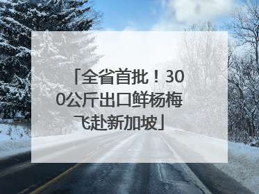 全省首批！300公斤出口鲜杨梅飞赴新加坡