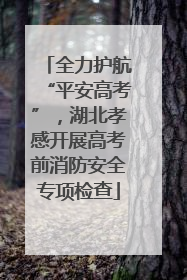 全力护航“平安高考”，湖北孝感开展高考前消防安全专项检查