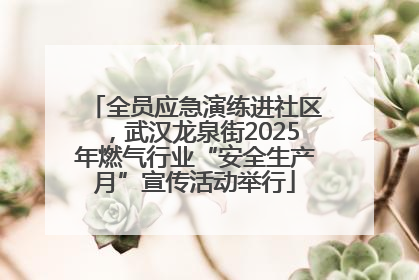 全员应急演练进社区，武汉龙泉街2025年燃气行业“安全生产月”宣传活动举行