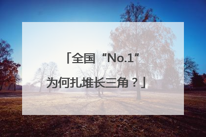 全国“No.1”为何扎堆长三角？