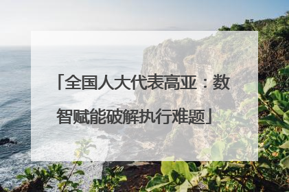 全国人大代表高亚：数智赋能破解执行难题