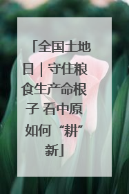 全国土地日｜守住粮食生产命根子 看中原如何“耕”新